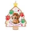 Hallmark My Fur-st Christmas 2023 Photo Frame Ornament