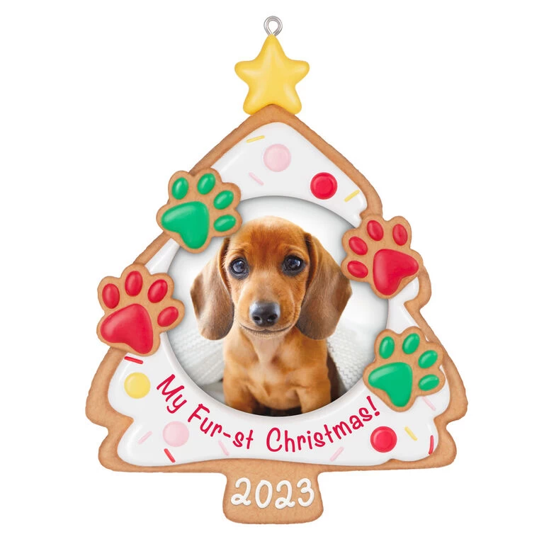 Hallmark My Fur-st Christmas 2023 Photo Frame Ornament