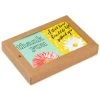 Hallmark Colorful Daisies Boxed Thank-You Notes, Pack Of 50